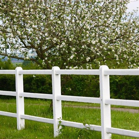 Le Haras Du Favry Daire Palinges Dış mekan fotoğraf