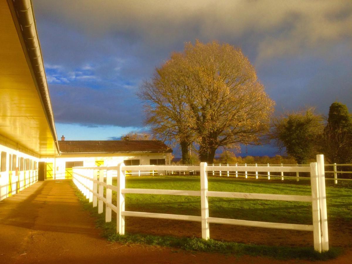 Le Haras Du Favry Daire Palinges Dış mekan fotoğraf