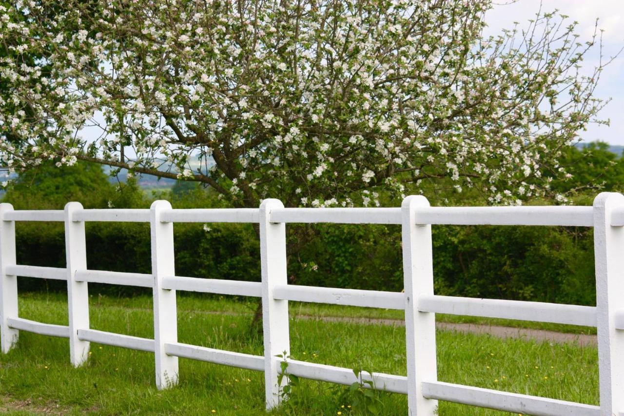 Le Haras Du Favry Daire Palinges Dış mekan fotoğraf