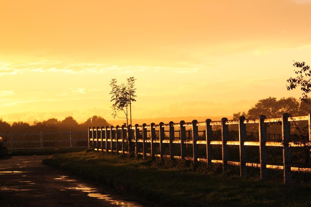 Le Haras Du Favry Daire Palinges Dış mekan fotoğraf